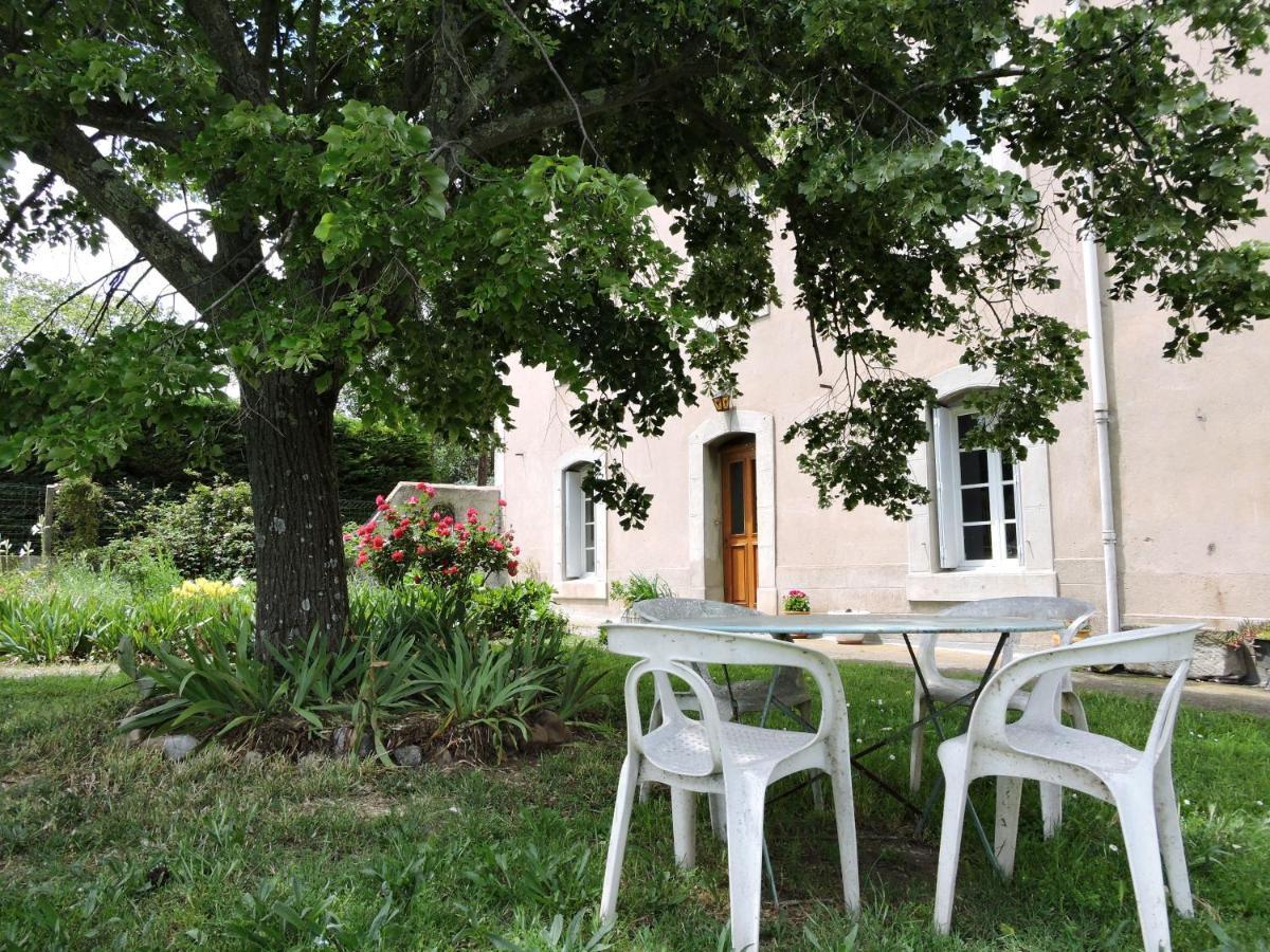Domaine Saint-Louis Bed and Breakfast Καρκασόν Εξωτερικό φωτογραφία